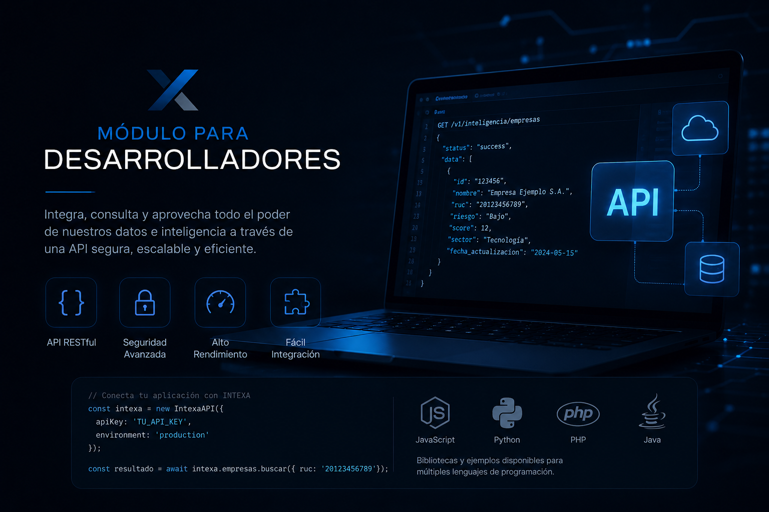 Panel de API para desarrolladores Intexa